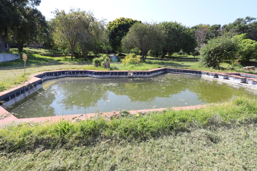Commercial Property for Sale in Chelsea Eastern Cape